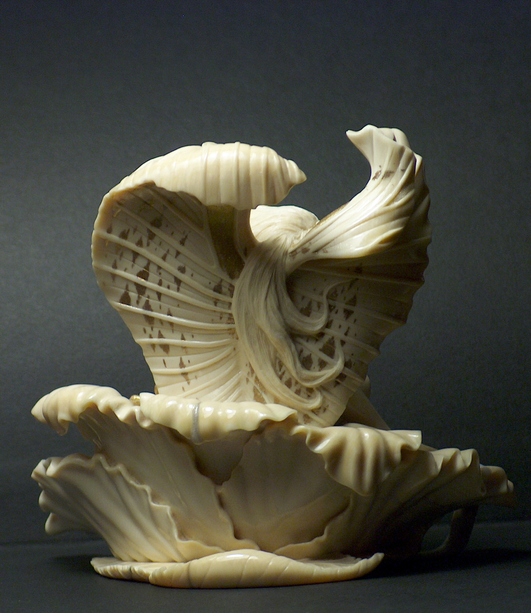 Morning on a flower009